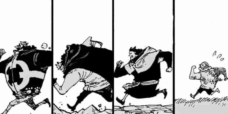 10 лучших предысторий персонажей One Piece, рейтинг