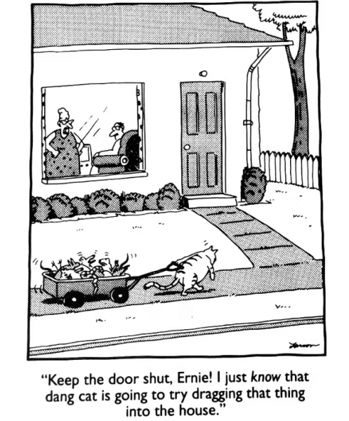 10 лучших комиксов Far Side, если вы Любитель кошек