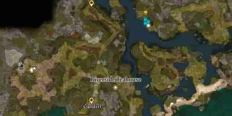 Baldur's Gate 3: Как пройти через заросший туннель