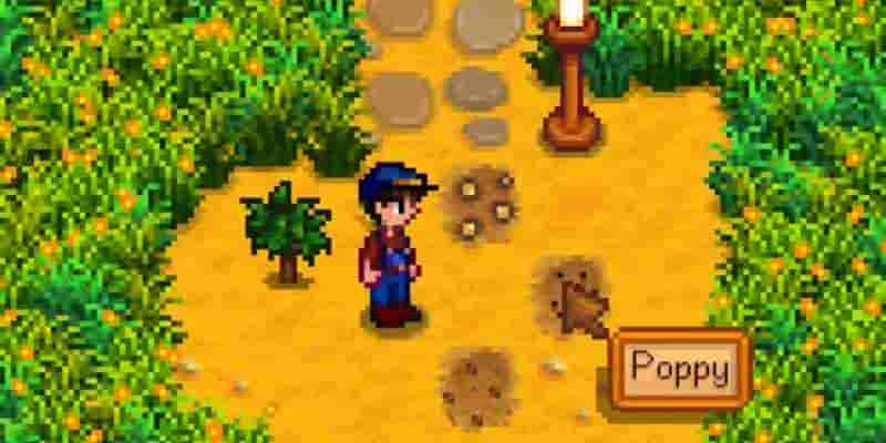 Stardew Valley: Решение головоломки с лодкой русалки