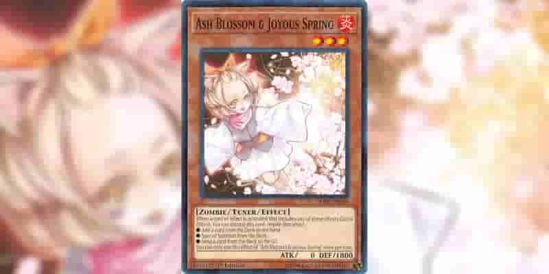 Yu-Gi-Oh!: 10 карточек, которые обязательно нужно приобрести из коллекции, посвященной 25-летию