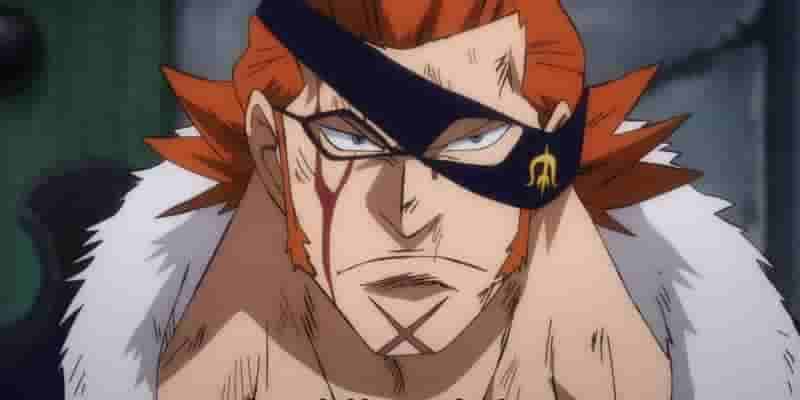 One Piece: Каждая сверхновая, ранговая