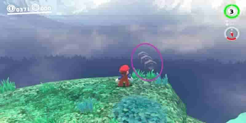 Super Mario Odyssey: Все Purple Coins In The Wooded Kingdom