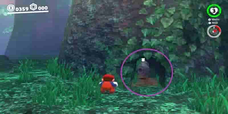 Super Mario Odyssey: Все Purple Coins In The Wooded Kingdom