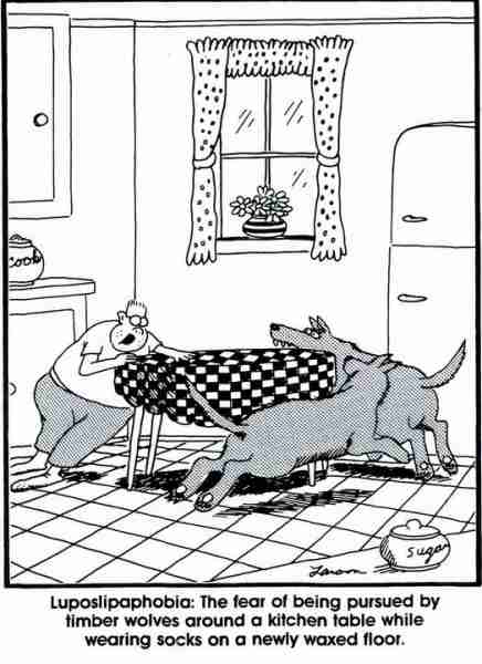 10 лучших комиксов Far Side о страхе, рейтинг