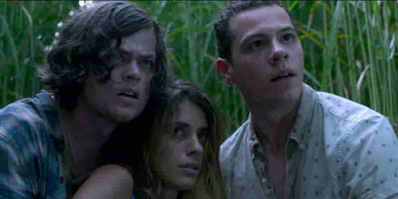 Netflix's In the Tall Grass: The Mind-Bending Ending, Explained