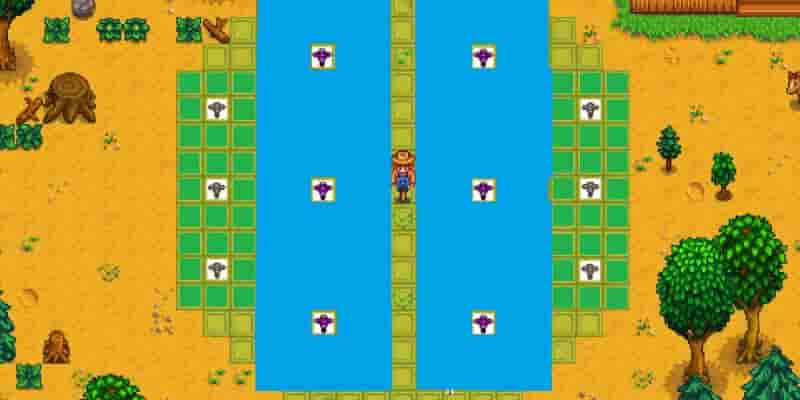 15 лучших модов Stardew Valley, рейтинг