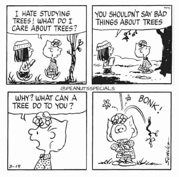 10 лучших персонажей Peanuts, которые полностью исчезли