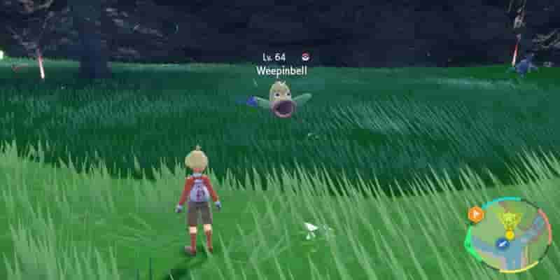 Pokemon Scarlet & Violet: Как получить и развить Bellsprout & Weepinbell