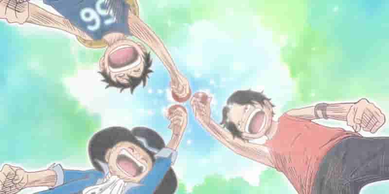 10 лучших предысторий персонажей One Piece, рейтинг
