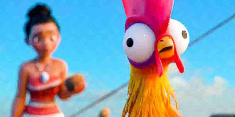 Моана от Disney: 15 фактов, которые вы не знали о петухе Хей-Хей