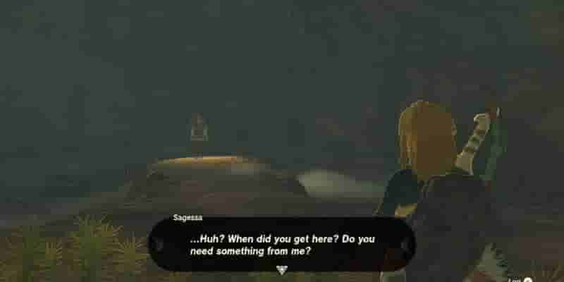 Tears Of The Kingdom: An Eerie Voice Quest Walkthrough