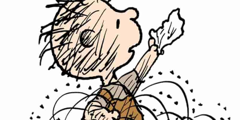 10 лучших персонажей Peanuts, которые полностью исчезли