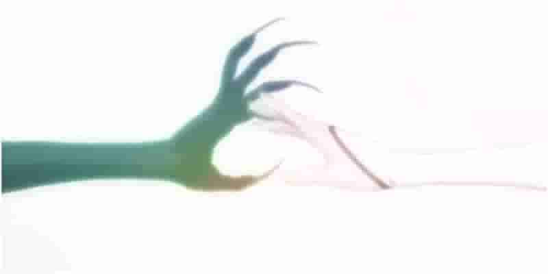 Bleach: 10 лучших вступительных тем в рейтинге