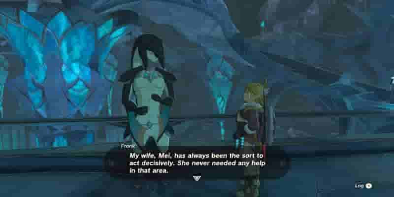 Tears Of The Kingdom: A Wife Wafted Away Quest Прохождение