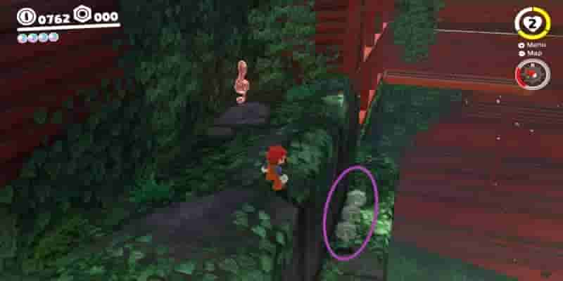 Super Mario Odyssey: Все Purple Coins In The Wooded Kingdom