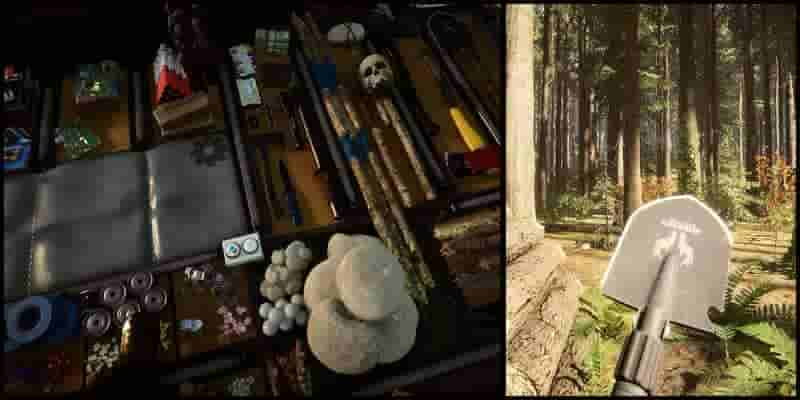Sons Of The Forest: How To Get A Shovel