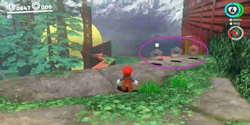 Super Mario Odyssey: Все Purple Coins In The Wooded Kingdom