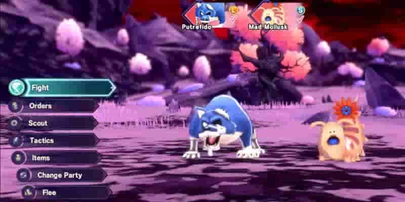 Dragon Quest Monsters : Темный принц - Как использовать очки талантов