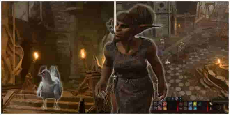 Baldur's Gate 3: How To Win The Goblin Camp Chicken Chase