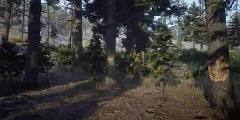 10 секретов, которые вы еще не нашли на карте Red Dead Redemption 2