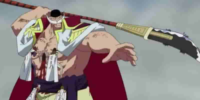 Все пользователи хаки Conqueror в One Piece, Рейтинг