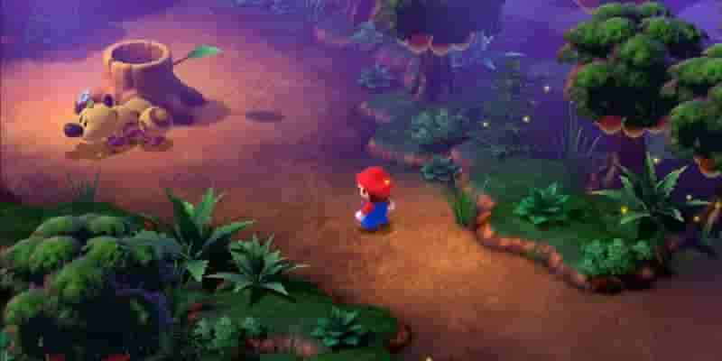 РПГ Super Mario: Где фармить лягушачьи монеты