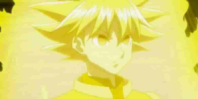 Персонажи Hunter X Hunter, которые могли победить Гоку