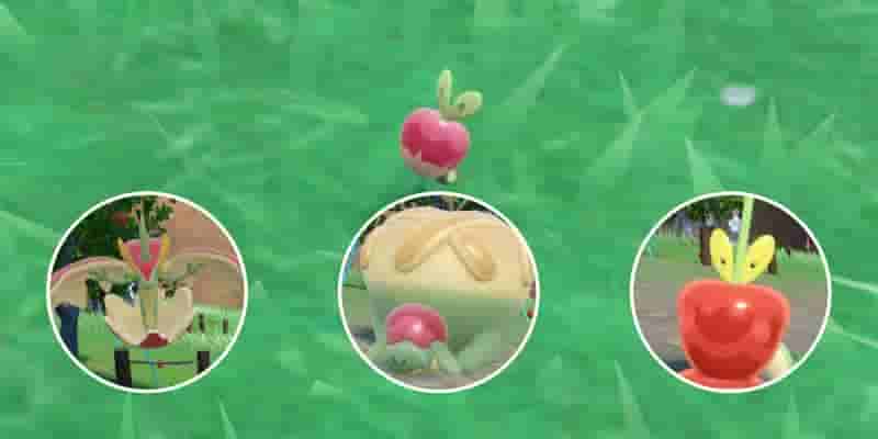 Дополнение Pokemon Scarlet & Violet: How To Evolve Dipplin Into Hydrapple 
