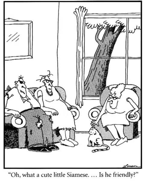 10 лучших комиксов Far Side, если вы Любительница кошек