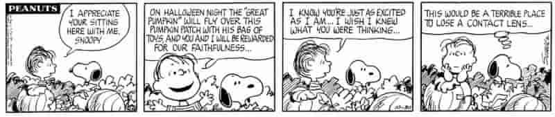 10 лучших комиксов Peanuts с участием Линуса