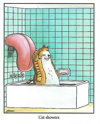 10 лучших комиксов Far Side, если вы любитель кошек