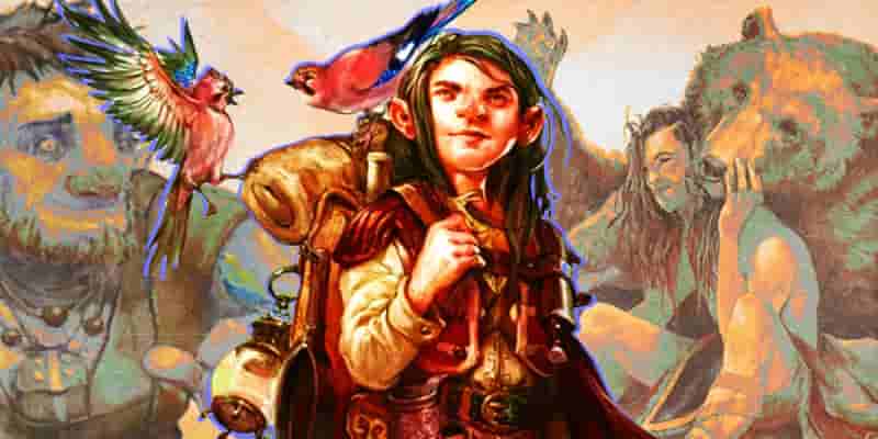 Dungeons & Dragons: лучшие виды персонажей для вашего следующего друида