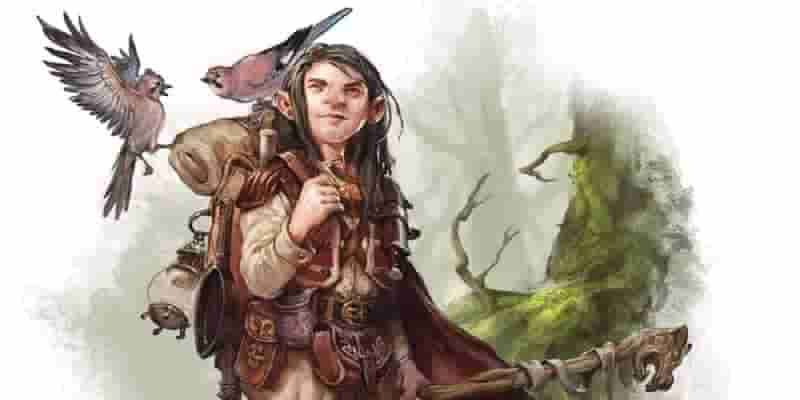 Все мультиклассовые комбинации разбойников в D&D, ранговые