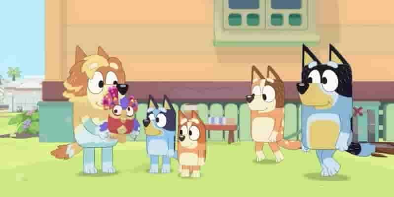 Bluey — идеальная игра для Покажите детям, как играть