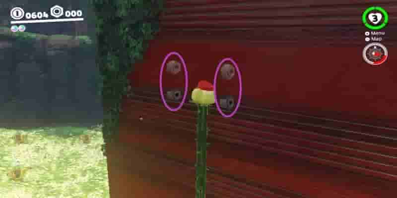 Super Mario Odyssey: Все Purple Coins В лесном королевстве