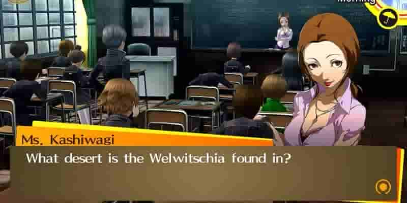 Гайд В каждый класс и тестовый ответ в Persona 4 Golden