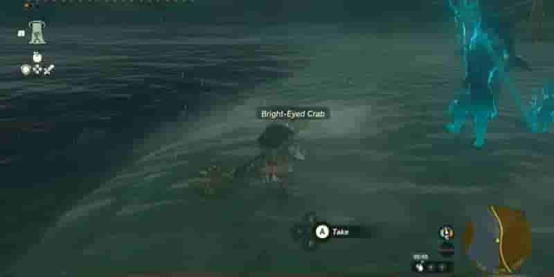 Tears Of The Kingdom: How To Farm Bright-Eyed Crab