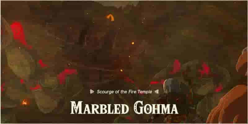 Tears Of The Kingdom - Гайд по Храму Огня