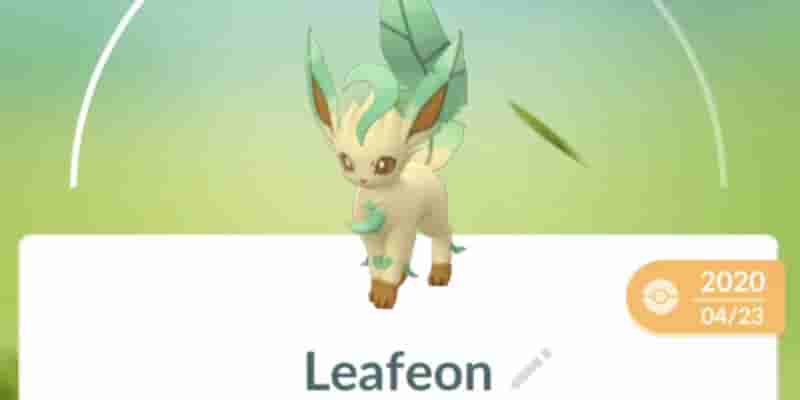 Как получить все Ивилюции в Pok&eacute;mon GO
