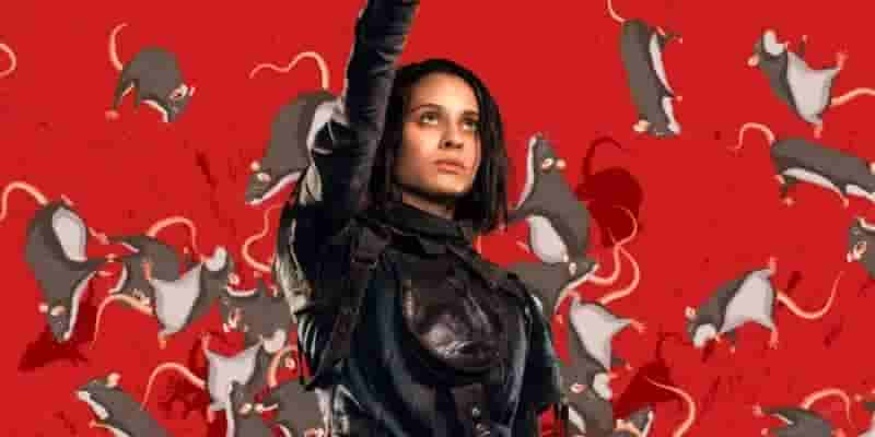 10 персонажей DC, которые должны появиться в сериале об Аманде Уоллер