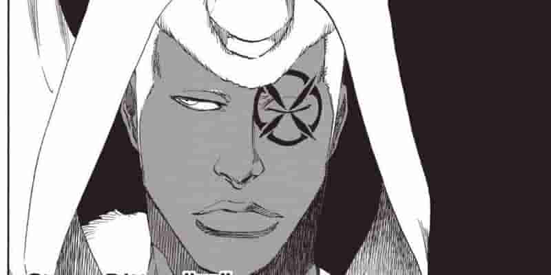 20 сильнейших персонажей Bleach в конце серии
