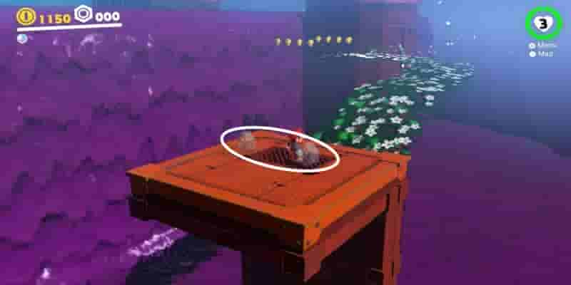 Super Mario Odyssey: Все Purple Coins In The Wooded Kingdom