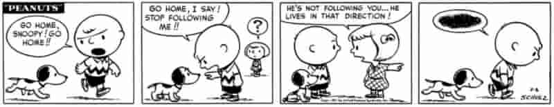 10 лучших комиксов Peanuts с участием Снупи