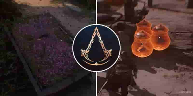  Assassin's Creed Mirage: Гайд по миссии ботаника