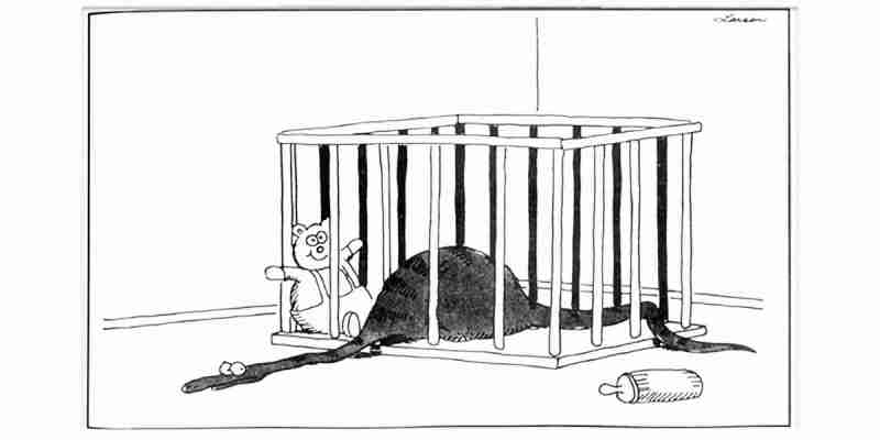 10 самых смешных комиксов The Far Side с участием змей, рейтинг