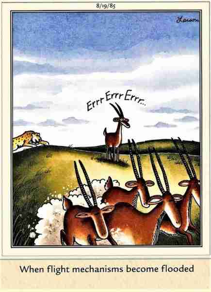 10 лучших комиксов Far Side о страхе, рейтинг