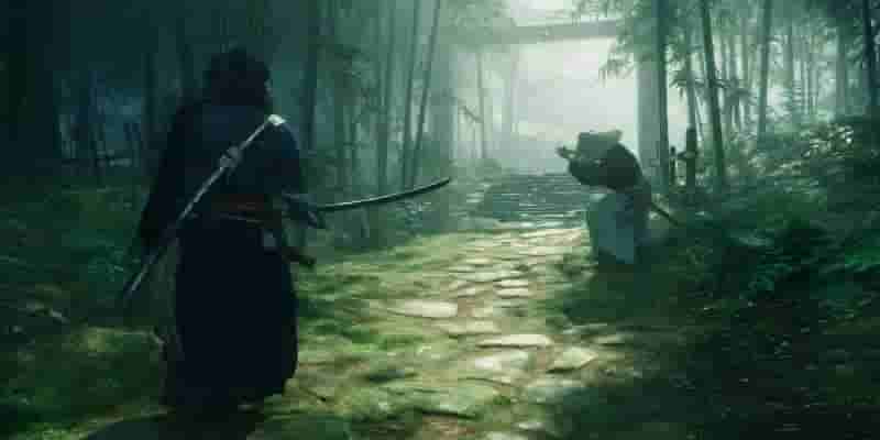 Team Ninja разрабатывает еще одно название помимо Rise Of The Ronin