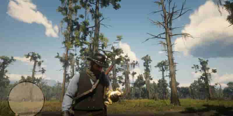 10 причин, по которым Red Dead Redemption 2 — самая детализированная игра от Rockstar