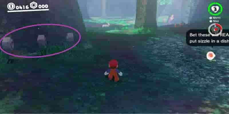 Super Mario Odyssey: Все Purple Coins In The Wooded Kingdom